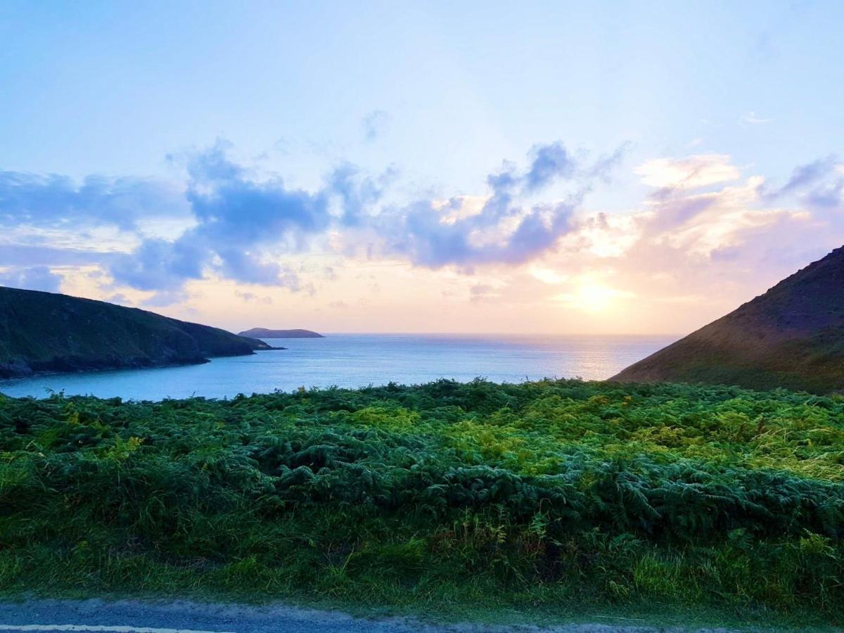 Wild Coastal Retreat At Troed Y Rhiw Aberporth, West Wales别墅 外观 照片